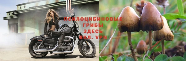 сатива Алексеевка