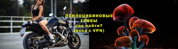 крисы Алзамай
