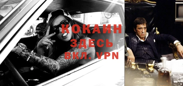 крисы Алзамай